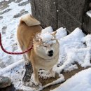 취향 이미지