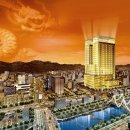 메이에르 이미지