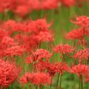 문수우체국(앞) 이미지