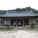 밤나무골 Daum카페