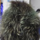 한양명품세탁 이미지