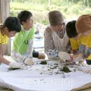 안산국제여행사