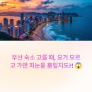 달맞이세탁소 | 부산 숙소 고를 때, 요거 모르고 가면 피눈물 흘릴지도?! 😱