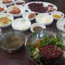 선운갈매기 이미지