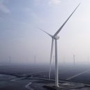 수당 태양광발전소 이미지