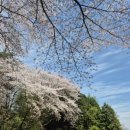 백운체력단련장 이미지