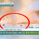 임동농장 이미지