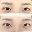 O:Na(오나) | [정발산역 속눈썹펌] 일산 라페스타 오나뷰티, 자연스럽게 올라간 컬 후기
