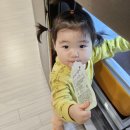 남유네 세미와 두콩이 액상차 기관지에 좋아