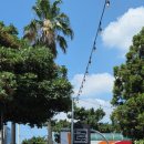 돌담제주산돼지고기전문점 이미지