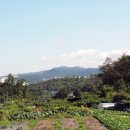 가림산둘레길 이미지