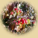 주천면 내용궁마을 이미지