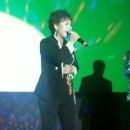 허리우드 이미지