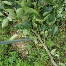 미천면사무소 내 이미지