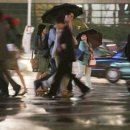 꽃다지 앞 이미지