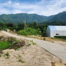 명월1리 이미지