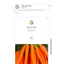 티스토리 구글 애드센스 신청 후기: 승인 가능성 높이는 법은?