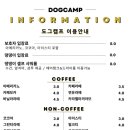 도그캠프 이미지