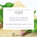 용현견과