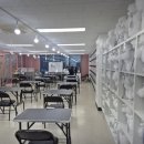 달리애견 이미지