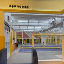 [점핑파크] 인천 계양구 깨끗하고 가성비 좋은 키즈카페 추천 / 대형 트램폴린 파티룸 아이들 모임장소...
