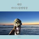 태안호스릴-25 | 25-6)2박3일 태안바다드림캠핑장 여름에 바다는 힘들어(˘̩̩ε˘̩ƪ)
