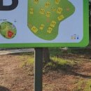 갯바람펜션 이미지