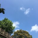 영림상회 이미지