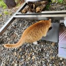 요섭농장 이미지