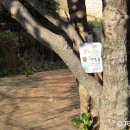 인후도서관 | 아기 목감기 잔기침 원인, 잔기침 멈추는법으로 밤마다 고생 줄인 후기