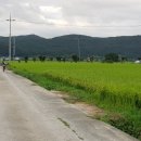 광원농장 이미지