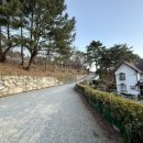 팔색조 펜션 이미지