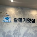 갈매기횟집 | 경주 감포 횟집 내돈내산 - 갈매기횟집 후기 (바다뷰 횟집)