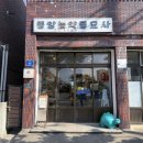 제주 동쪽 가볼 만한 곳 세화리 소품샵 여름 문구사