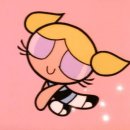 혁신애견미용 이미지