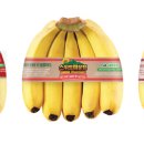 푸른유통 이미지