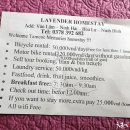 스테이자유 이미지