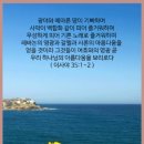 샤론의 꽃 예수 이미지