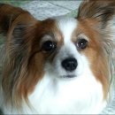 고령농장 이미지