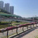 영덕2동 경인투데이