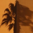 애프터챕터 이미지