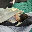 주문진만성횟집 | 강릉벚꽃캠핑 계곡이 있는 정원펜션캠핑장