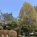 강물소리펜션 이미지