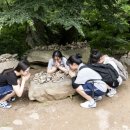 진주제일여자고등학교 이미지