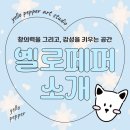 옐로페퍼미술교습소