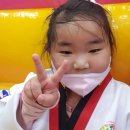 아름드리 태권도 이미지