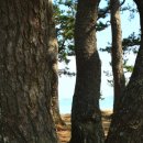 나로도바다 이미지