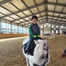 거창 오로라 승마장 이미지