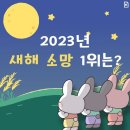 혈액암 투병 팔백쉰네(854) 번째 날 편지, 1 (안부, 소식) - 2023년 1월 8일 주일 이미지