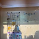 별이알이 댕댕샵 이미지